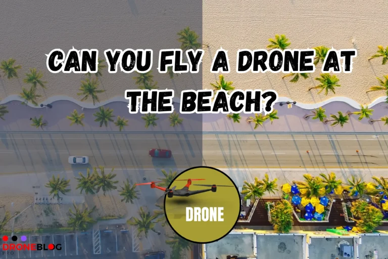 Can You Fly a Drone at the Beach? Latest Guide-2024